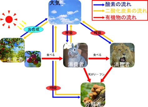 物質界|物質界